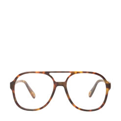 Philip Hog Kim - Tortoise 2.0