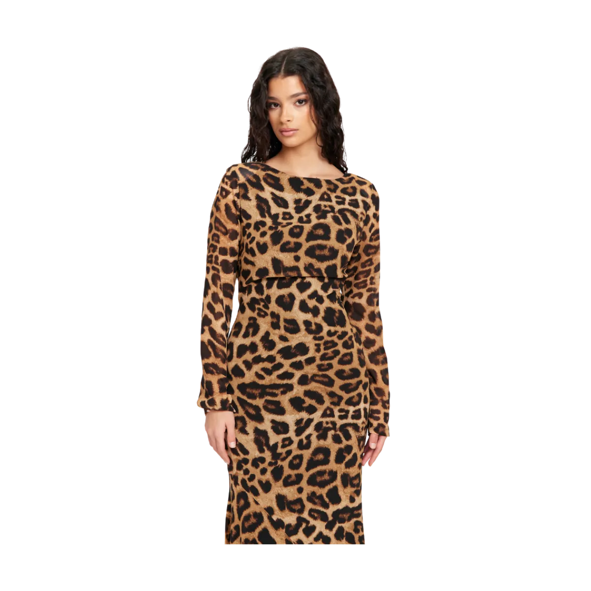 Dry Lake Leo Dress - Brown Leo