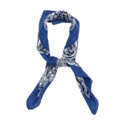 Sale Seven/East Valence Scarf - Blue
